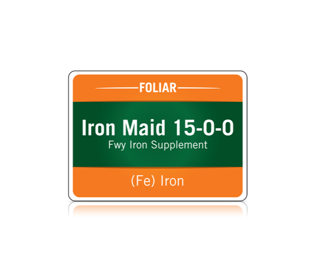 Iron Maid